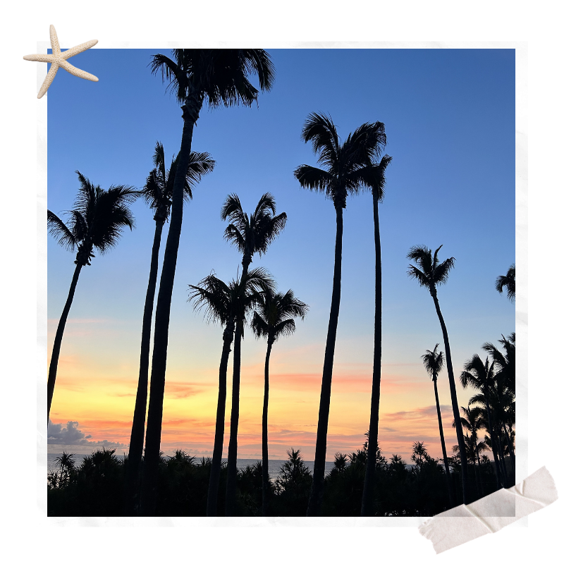 Voyager un mois à La Réunion