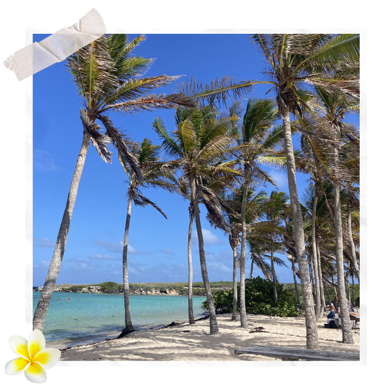 Guadeloupe en 10 jours : itinéraire 