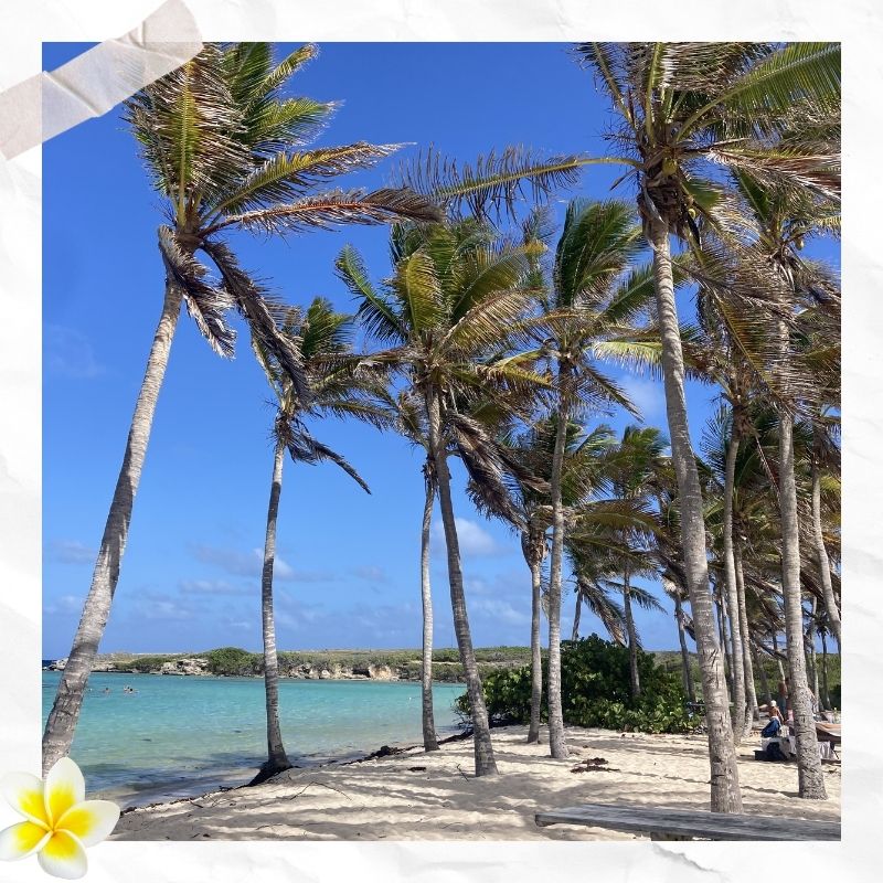 Guadeloupe en 10 jours : itinéraire entre plages, randos & villages